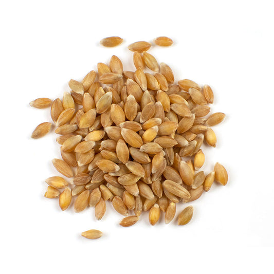 Einkorn Grain