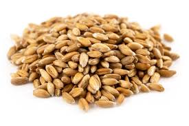 Spelt Flour